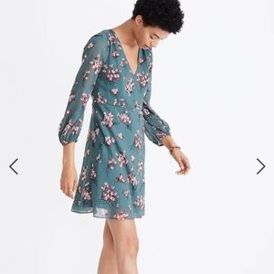 Madewell Marguerite Dress inButterfky Garden SZ.8